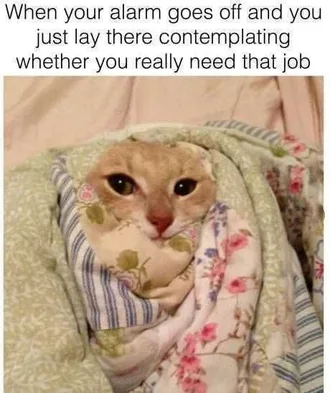 Sleep Alarmjob