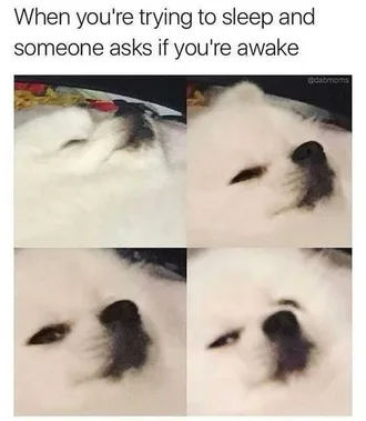 Sleep Awake