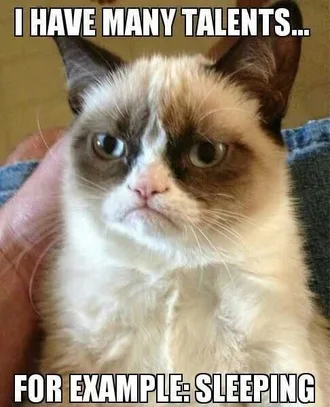 Sleep Grumpycat