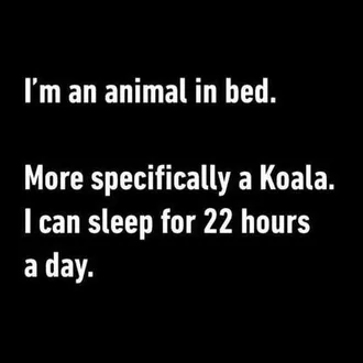 Sleep Koala