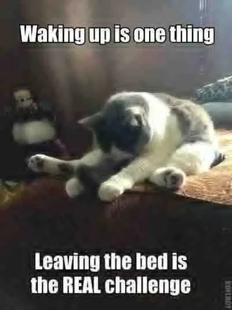 Sleep Wakingupis