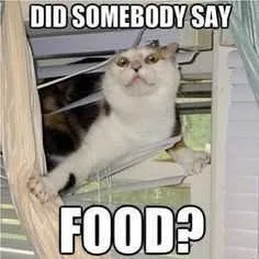 Food Didsomeonesay