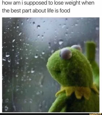 Food Kermitrain