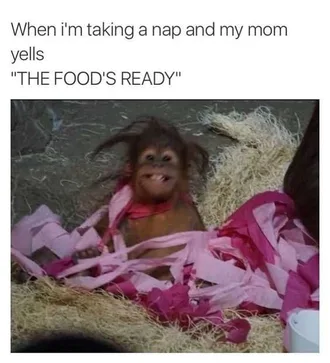 Food Napmeme