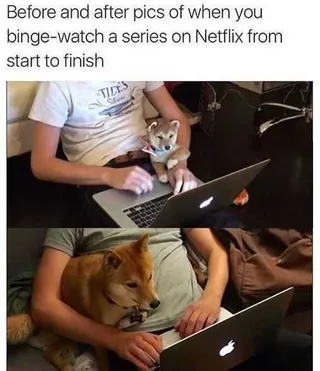 Meme