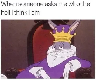 Meme Whothehell