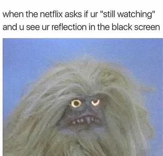 Memes Reflectionscreen