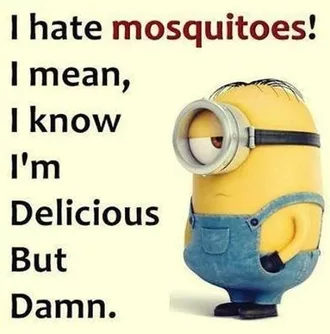 Minion Mosquito