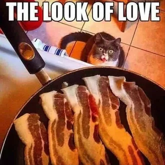 Bacon Lookoflove