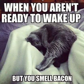 Bacon Smell
