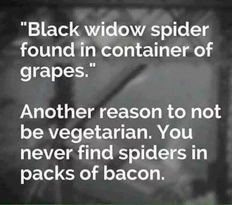 Bacon Spiders