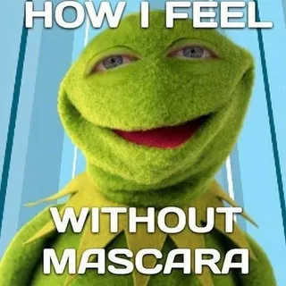 Meme Mascarakermit