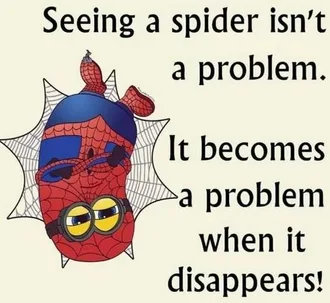 Minion Seeingaspider