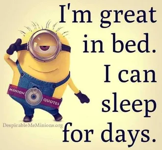Minion Sleepfordays
