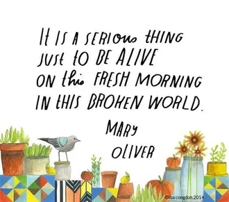 Quote Itaseriousthing