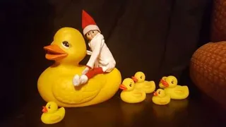 Elf On A Shelf Riding The Rubber Ducks