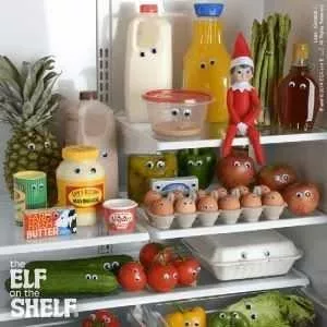 Elf On A Shelf Kitchen  Google Eyes On Everything