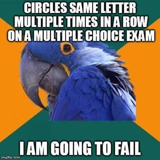 Finals Bird
