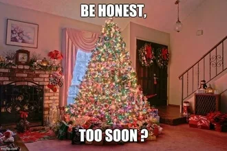 Christmas Too Soon Meme  Early Bird...