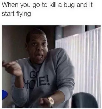 Meme Flying Bug