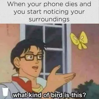 Meme When Your Phone Dies