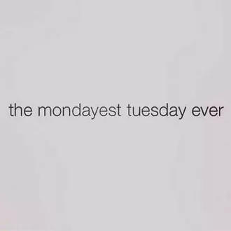 Funny Quotes About Tuesdays