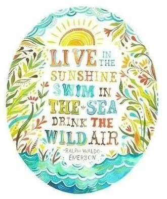 Illustrated Inspirational Quotes 9