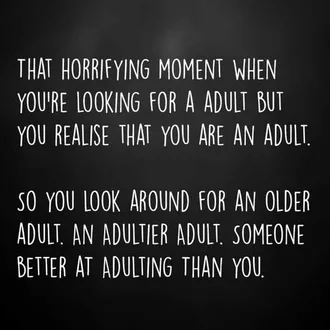 Being An Adult Memes  Looking For More Adults