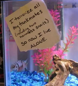 Fish Shaming That'S A First