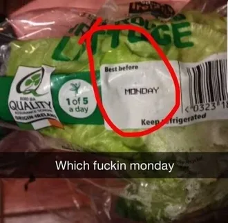 Funny Monday Which