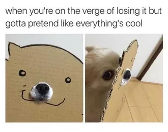 Funny Pretend Cool