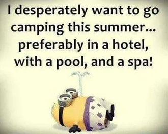 Super Funny Minion Quotes Camping