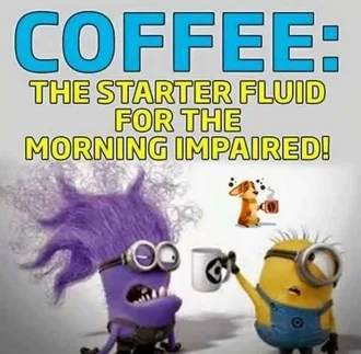 Super Funny Minion Quotes Coffee