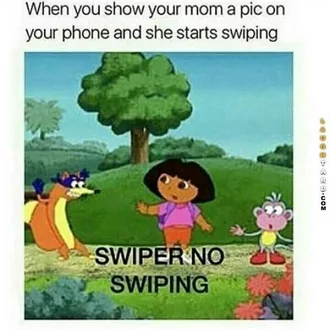 Hilarious Funny Images  No Swiping