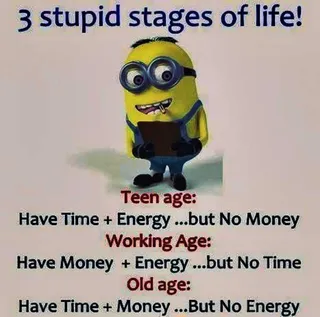 Funny Minion Images With Captions Stages Of Life