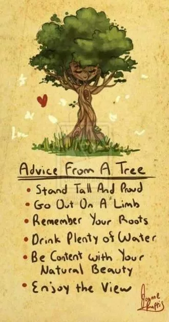 Quotes About Struggle  Tree