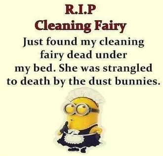 Minion Cleaning Fairy