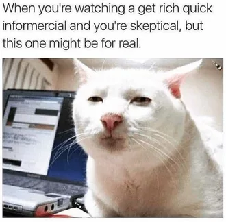 Animal Cat Get Rich Quick
