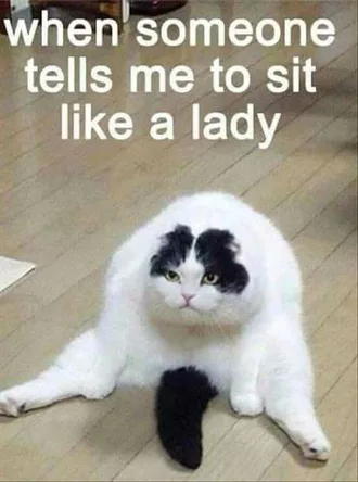 Animal Sit Like A Lady