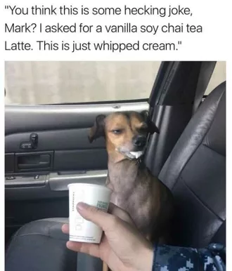 Animal Vanilla