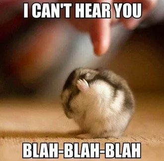 Animal Cant Hear You