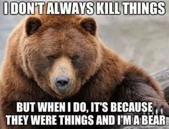 Animals Things Bear