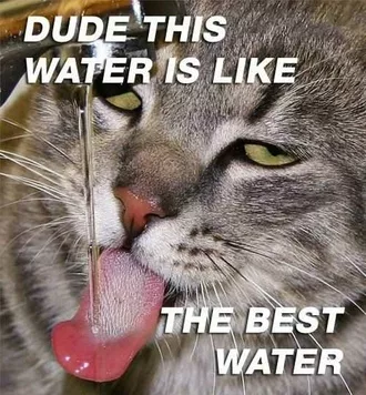 Best Water