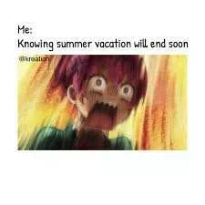 Funny Summer Vacation Will