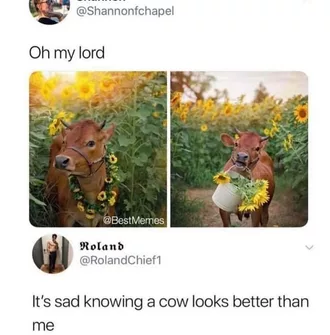 Animal Cow Glam