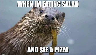 Animal Otter Pizza