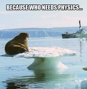 Animal Physics Walrus