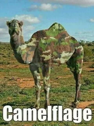 Funny Camelflouge
