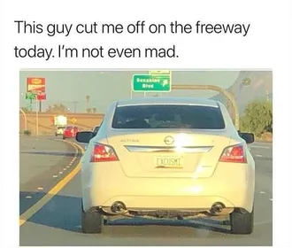 Funny Excuse Mi License