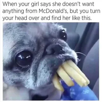 Funny Fries Mcdonalds
